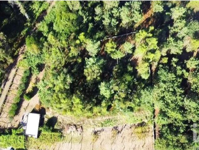 Terreno para construção em Forjães de 2351,00 m²