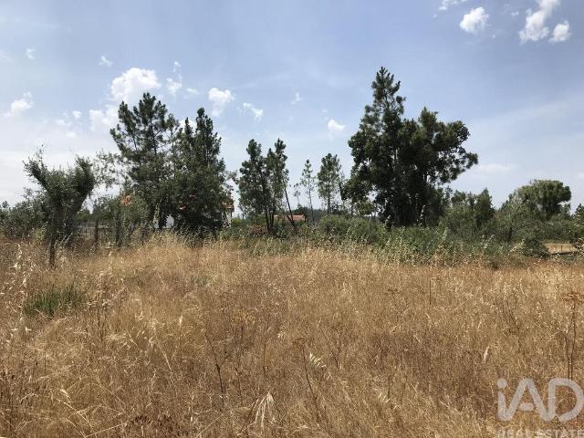 Terreno para construção em Freixianda, Ribeira do Fárrio e Formigais
