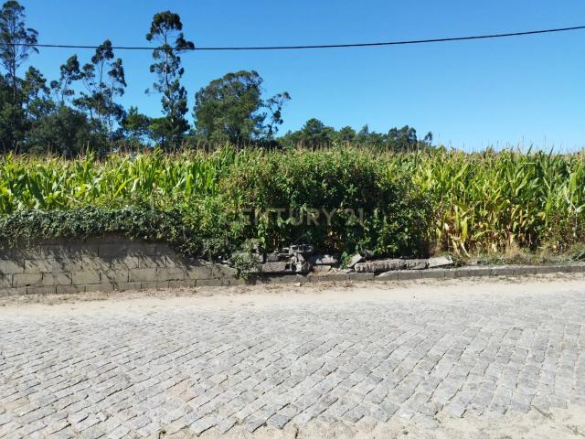 Terreno Para construção em Gemeses com 4300m2