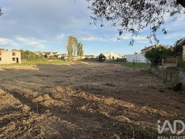 Terreno para construção em Ílhavo