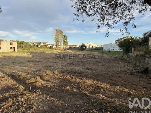 Terreno para construção em Ílhavo