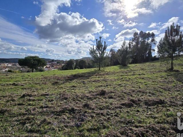 Terreno para construção em Lamas e Cercal