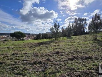 Terreno para construção em Lamas e Cercal