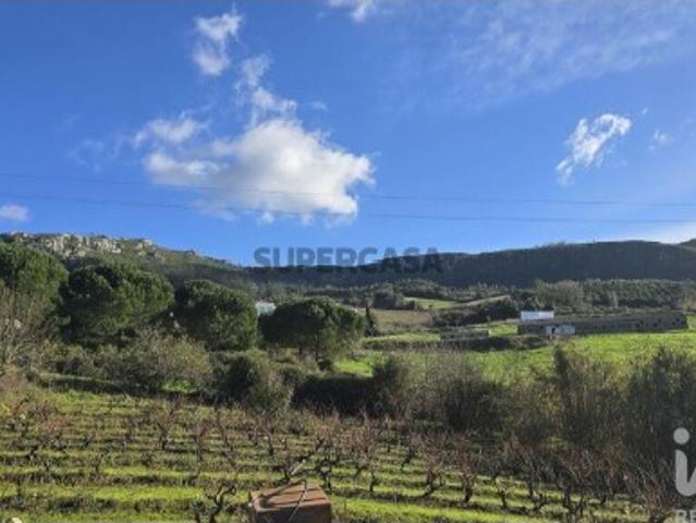 Terreno para construção em Lamas e Cercal
