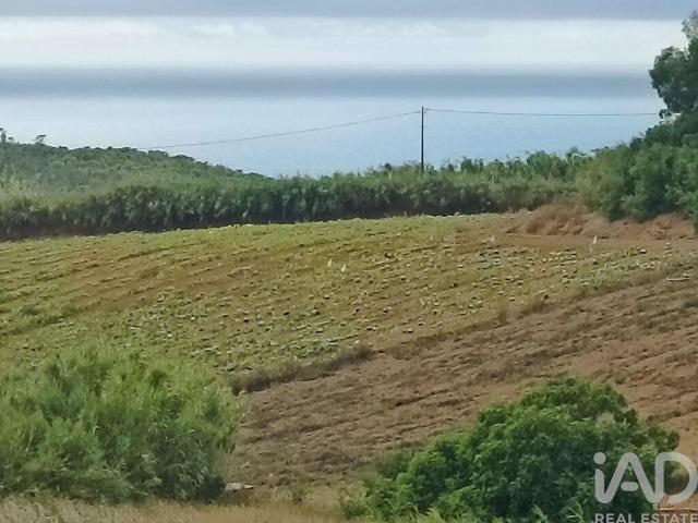 Terreno para construção em Lourinhã e Atalaia de 2358,00 m²