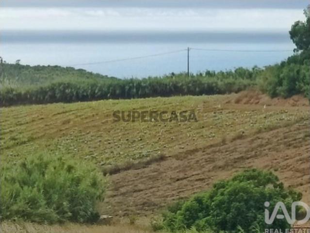Terreno para construção em Lourinhã e Atalaia de 2358,00 m²