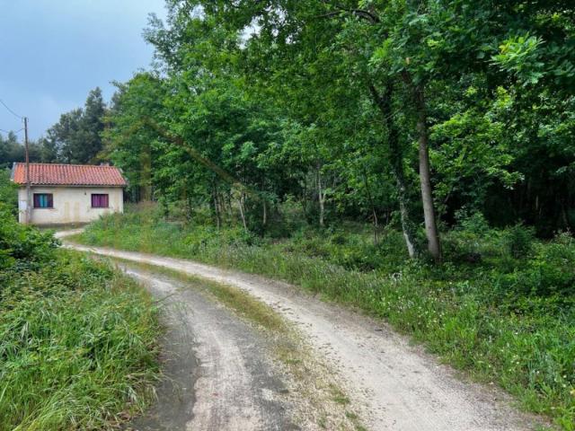 Terreno para Construção em Pardilhó, Estarreja 1470m² de Oportunidade!