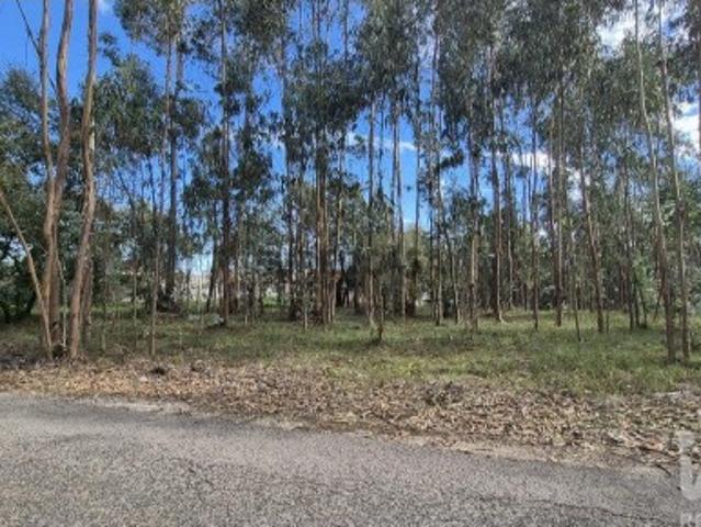 Terreno para construção em Pedreiras