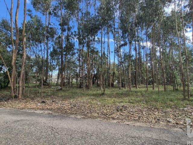 Terreno para construção em Pedreiras