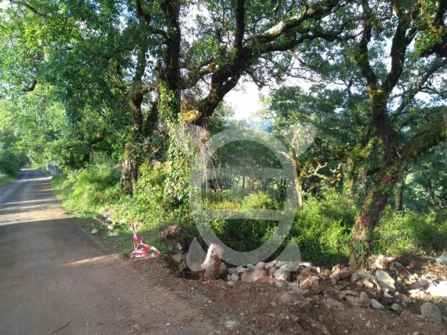 Terreno para Construção em Penela