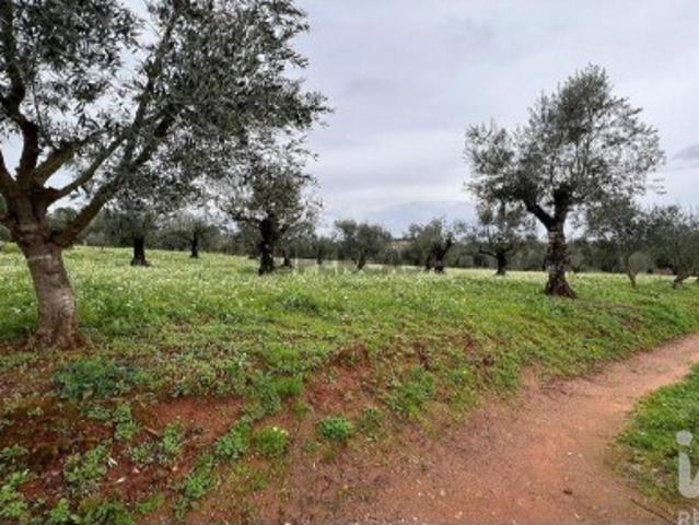 Terreno para construção em Podentes de 2088,00 m²