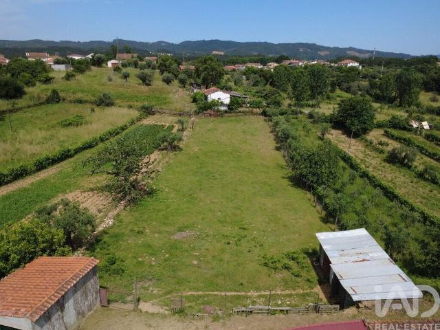 Terreno para construção em Poiares