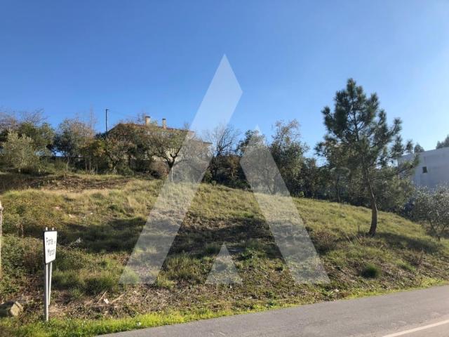 Terreno para construção em Porto de Mós