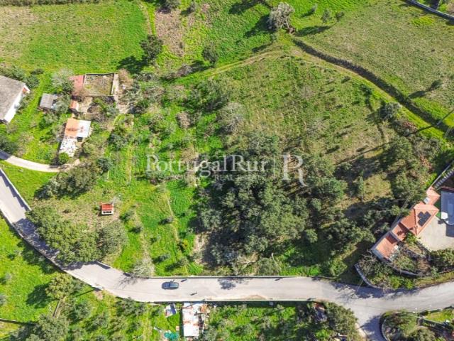 Terreno para construção em Proença a Nova