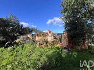 Alto Fica, Benafim, Loulé, Distrito de Faro, Algarve