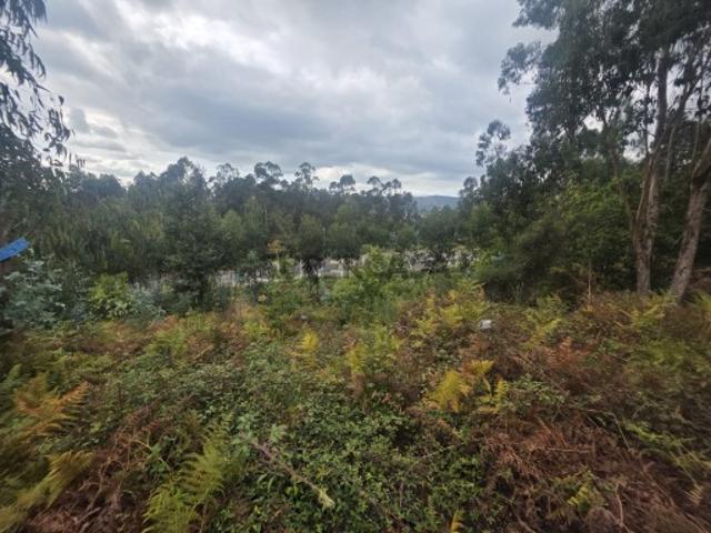 Terreno para construção em Ruivães