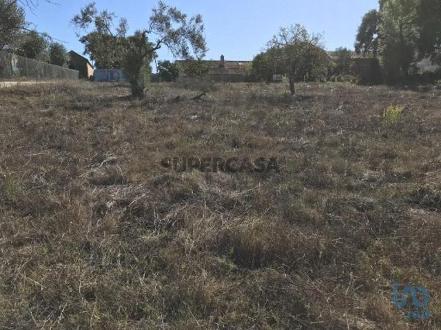 Terreno para construção em Rio de Couros e Casal dos Bernardos de 3446,00 m²