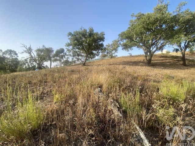 Terreno para construção em São Brás de Alportel