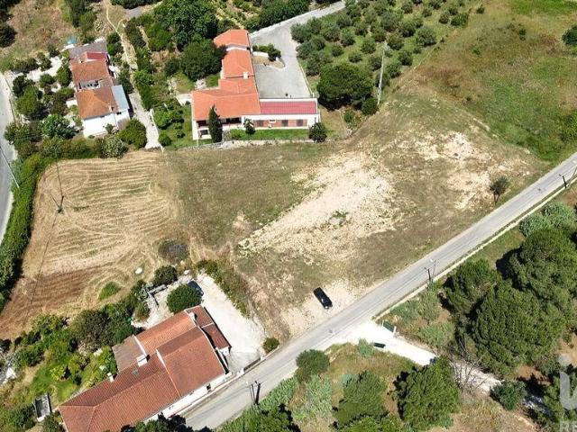 Terreno para construção em São João da Ribeira e Ribeira de São João