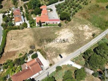 Terreno para construção em São João da Ribeira e Ribeira de São João