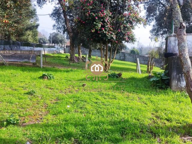 Terreno para construção em São João de Ver