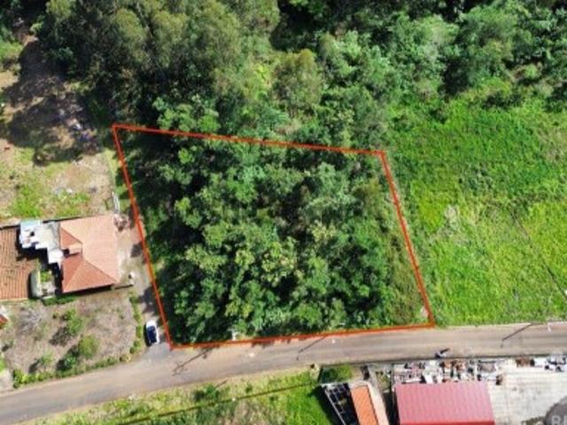 Terreno para construção em São Jorge de 1560,00 m²