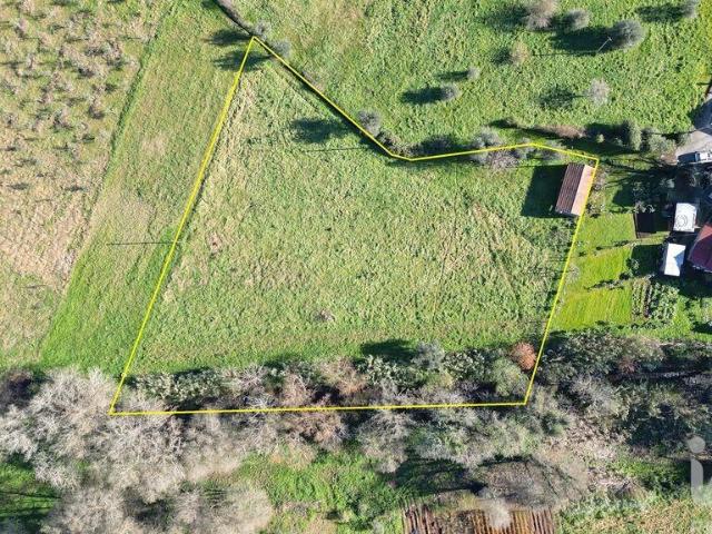 Terreno para construção em São Miguel, Santa Eufémia e Rabaçal