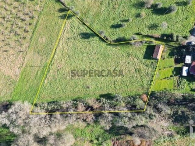 Terreno para construção em São Miguel, Santa Eufémia e Rabaçal