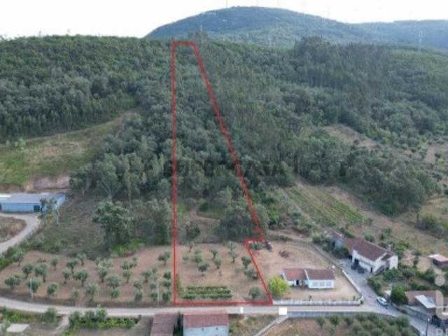 Terreno para construção em São Miguel, Santa Eufémia e Rabaçal