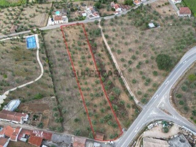 Terreno para construção em São Miguel, Santa Eufémia e Rabaçal