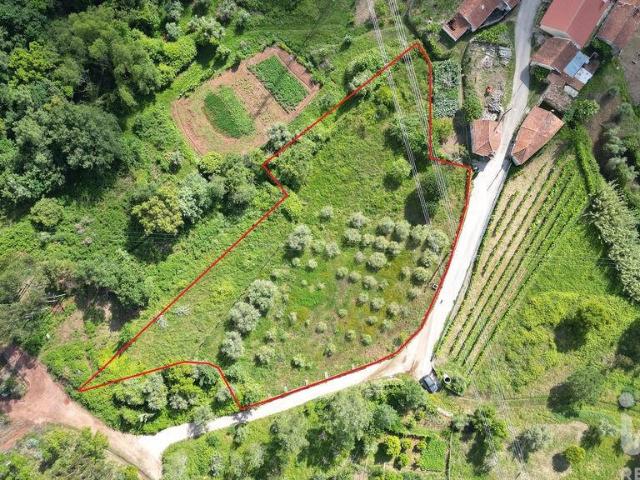 Terreno para construção em São Miguel, Santa Eufémia e Rabaçal