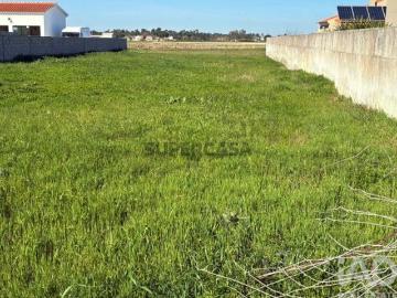 Terreno para construção em Salvaterra de Magos e Foros de Salvaterra