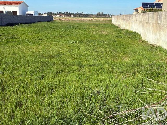 Terreno para construção em Salvaterra de Magos e Foros de Salvaterra