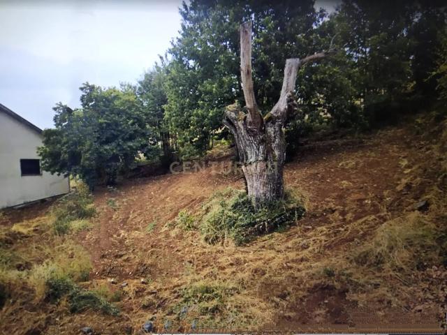 Terreno para construção de Moradia Isolada em Samil, Bragança 65.000€