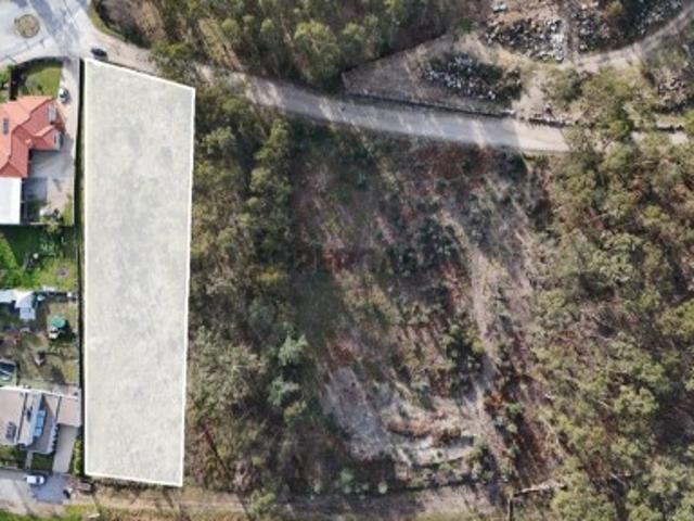 Terreno para Construção em Sanfins 3.000 m² | Excelente Oportunidade