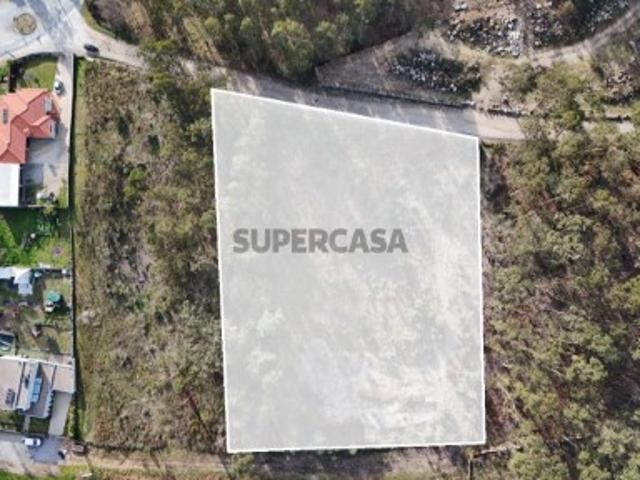 Terreno para Construção em Sanfins 5.300 m² | Excelente Oportunidade