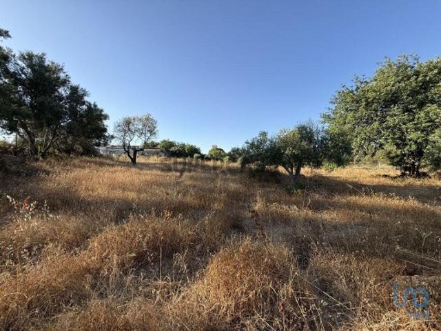 Terreno para construção em Santa Bárbara de Nexe de 3280,00 m²