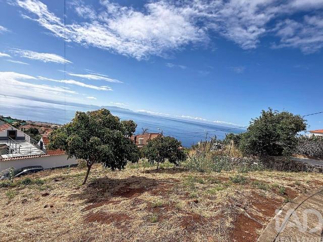 Terreno para construção em Santa Cruz