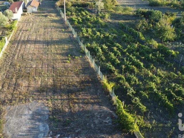 Terreno para construção em Seiça de 4000,00 m²