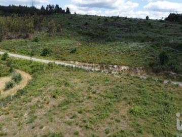 Terreno para construção em Seixo da Beira de 48000,00 m²