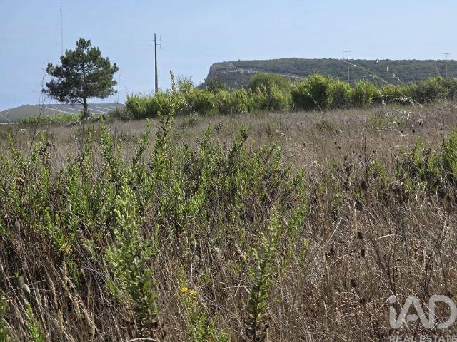 Terreno para construção em Sesimbra Castelo