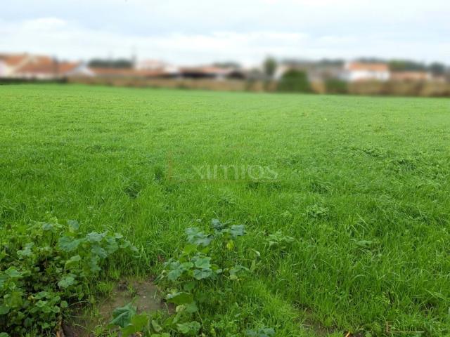 Terreno para construção, em Touguinha