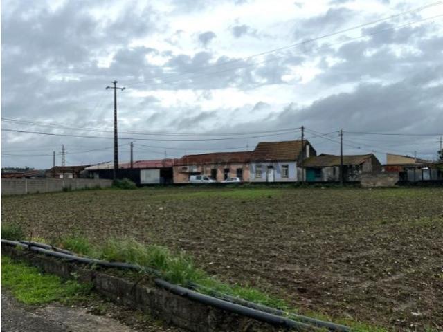 Terreno para construção em Válega, Ovar