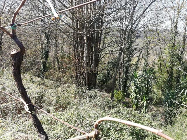 Terreno para construção em Valença S. Julião