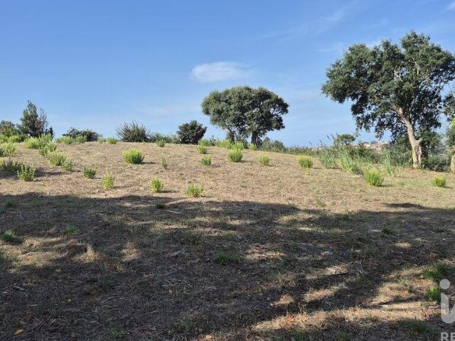 Terreno para construção em Vimeiro