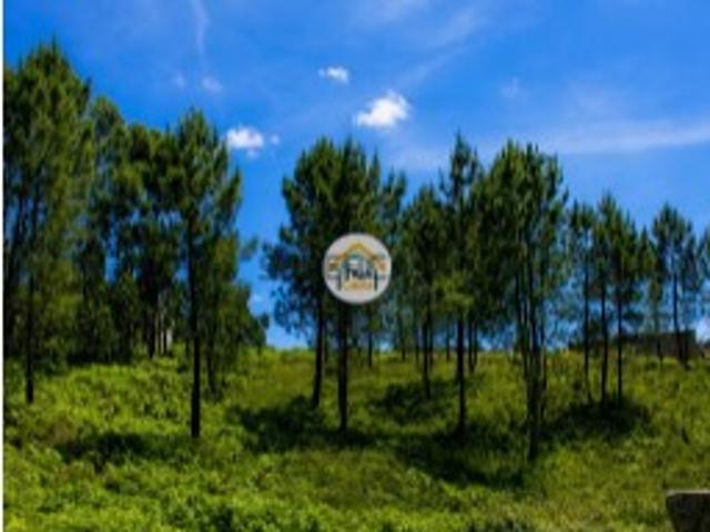 Terreno para Construção em Zona de Elevado Potencial Olival | Vila Nova de Gaia