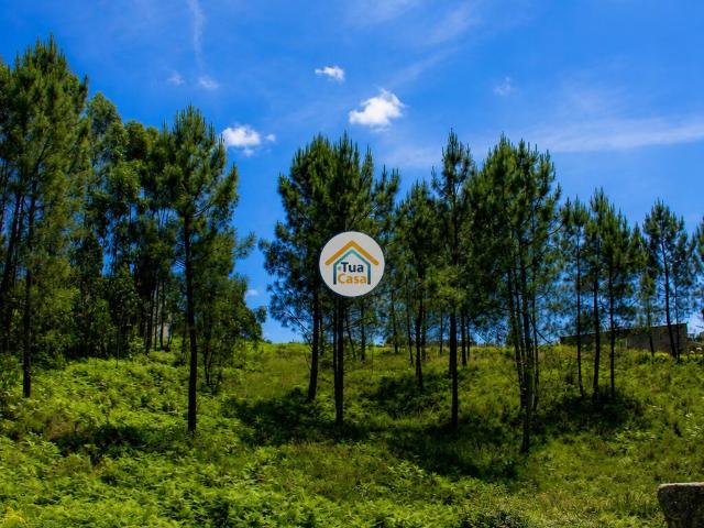 Terreno para Construção em Zona de Elevado Potencial – Olival | Vila Nova de Gaia