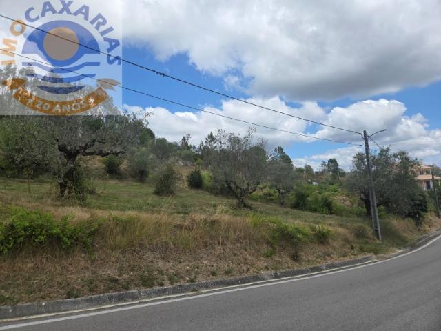 TERRENO PARA CONSTRUÇÃO | ESPITE, OURÉM