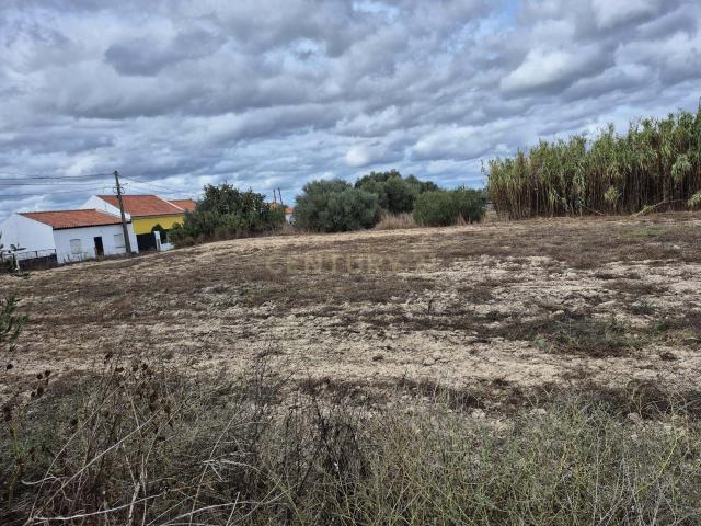TERRENO URBANO Figueira dos Cavaleiros