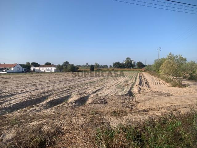 Terreno para Construção Foros de Salvaterra